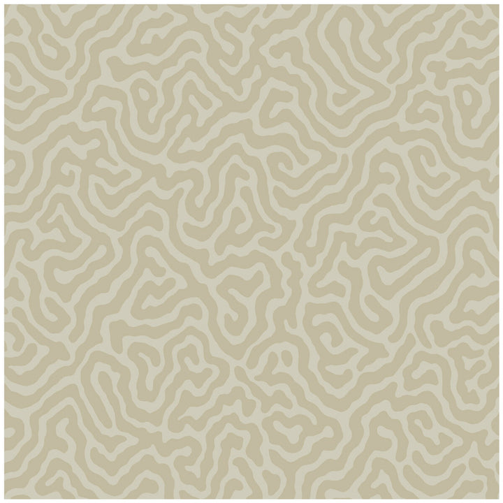 Coral Pale Stone by Cole & Son Wallcovering Cole & Son Wallcovering Coral Pale StoneWallcovering COLE & SON LANDSCAPE PLAINS PAPER - 100% United Kingdom </p><p>Repeat: H: , V: 4.2 20.5 - Fabric Carolina -