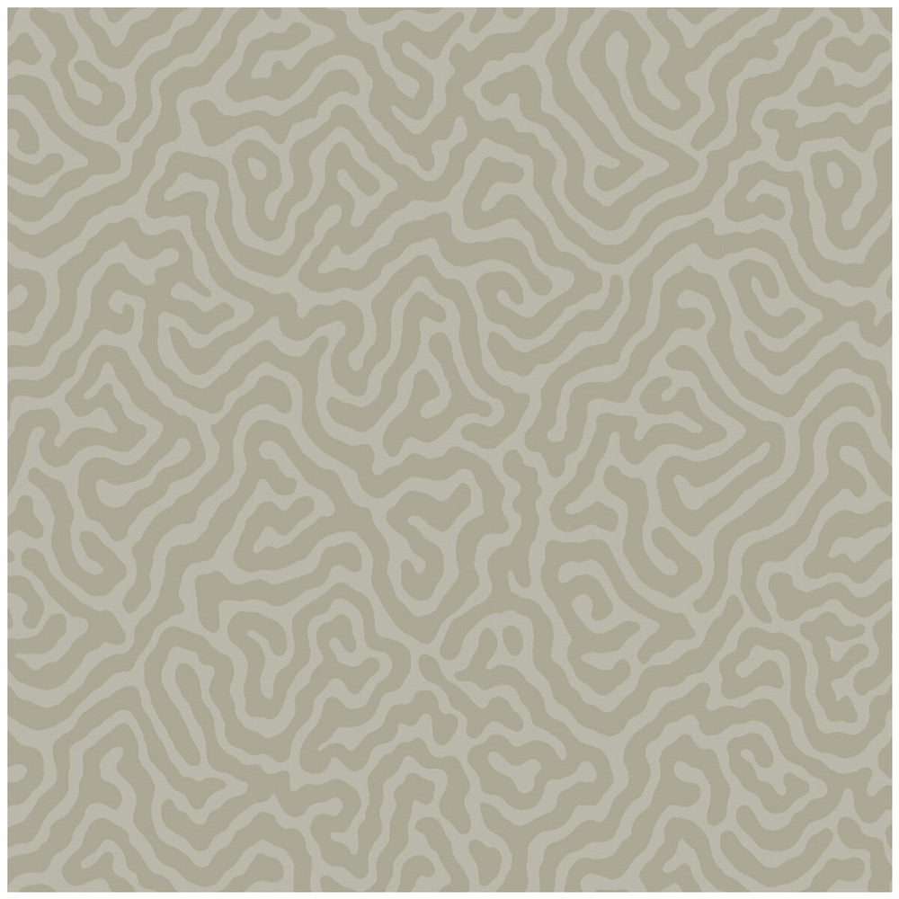 Coral Stone by Cole & Son Wallcovering COLE & SON LANDSCAPE PLAINS PAPER - 100% United Kingdom Horizontal: and Vertical: 4.2 20.5 - Fabric Carolina -