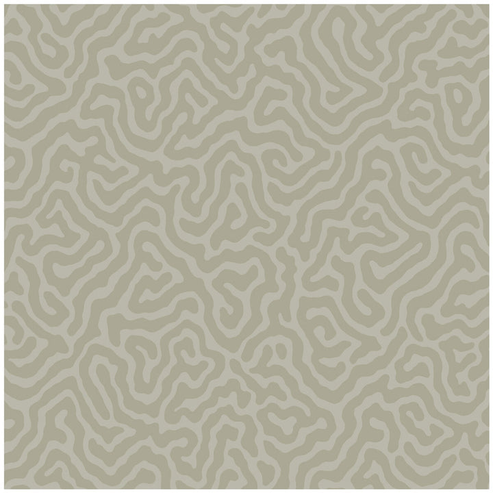 Coral Stone by Cole & Son Wallcovering Cole & Son Wallcovering Coral StoneWallcovering COLE & SON LANDSCAPE PLAINS PAPER - 100% United Kingdom </p><p>Repeat: H: , V: 4.2 20.5 - Fabric Carolina -
