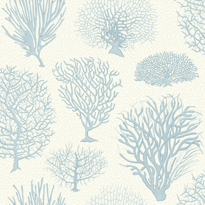 Seafern Blue by Cole & Son Wallcovering