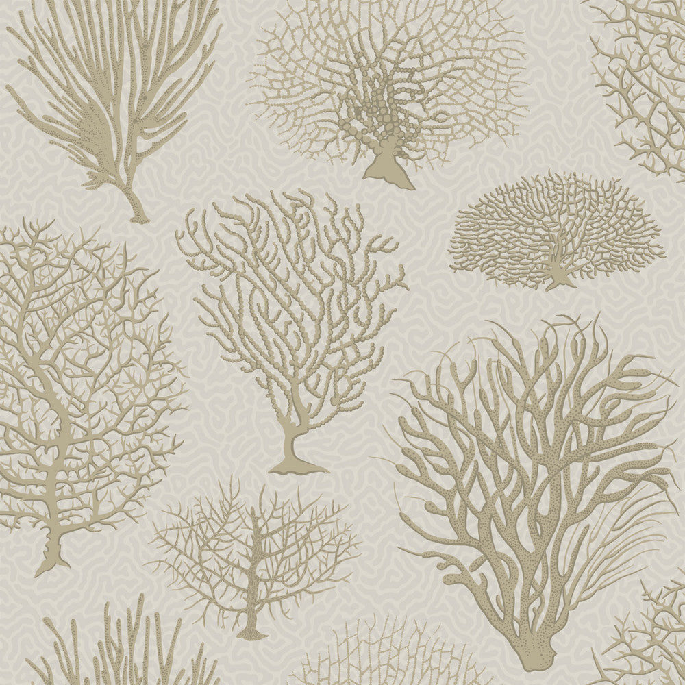 Seafern Stone by Cole & Son Wallcovering