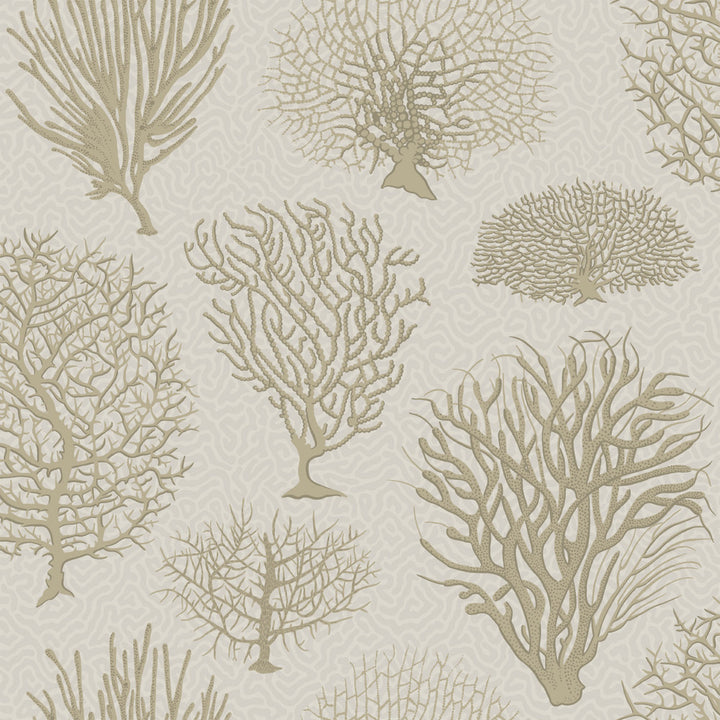 Seafern Stone by Cole & Son Wallcovering