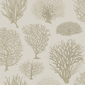 Seafern Stone by Cole & Son Wallcovering