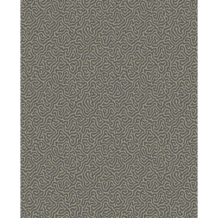 Vermicelli Black & Linen by Cole & Son Wallcovering