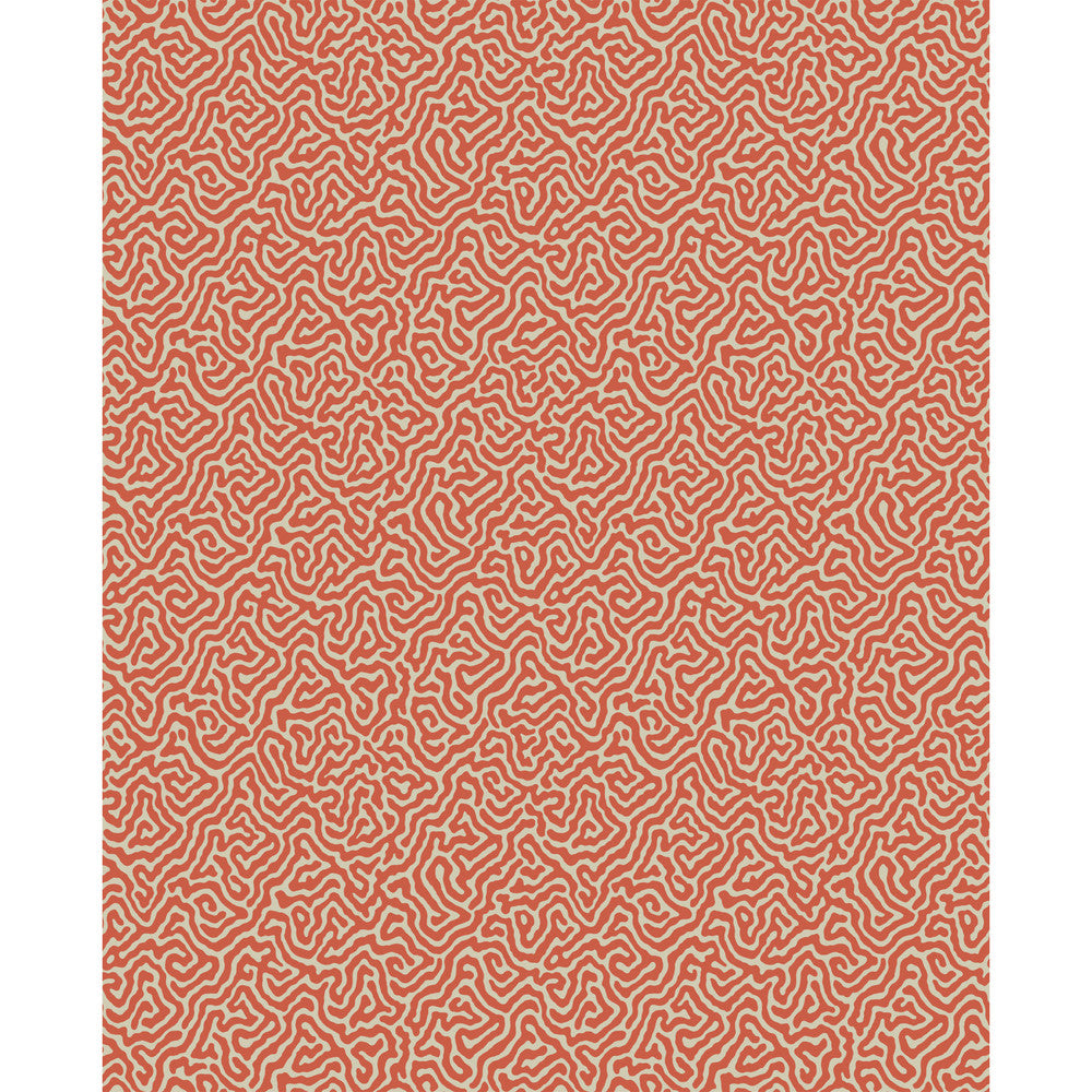 Vermicelli Coral by Cole & Son Wallcovering