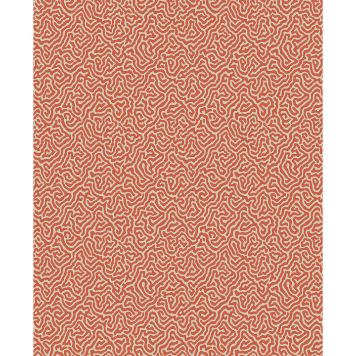Vermicelli Coral by Cole & Son Wallcovering