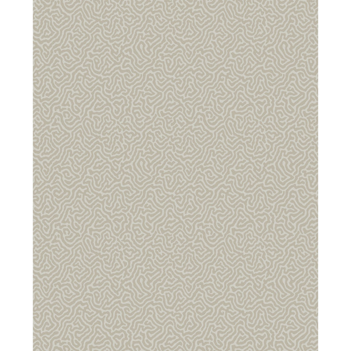 Vermicelli Stone by Cole & Son Wallcovering