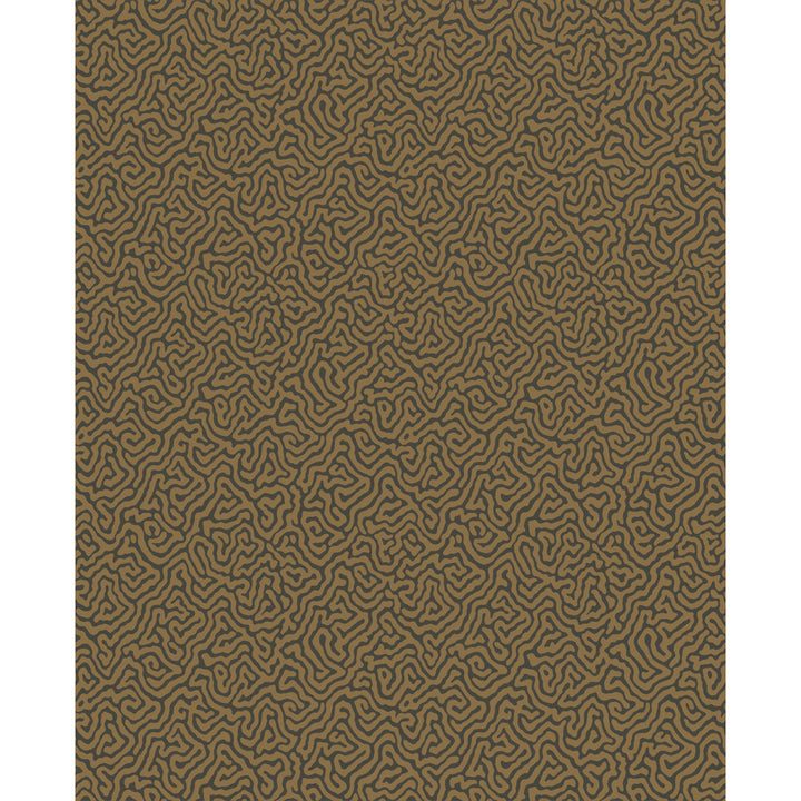 Vermicelli Black & Bronze by Cole & Son Wallcovering