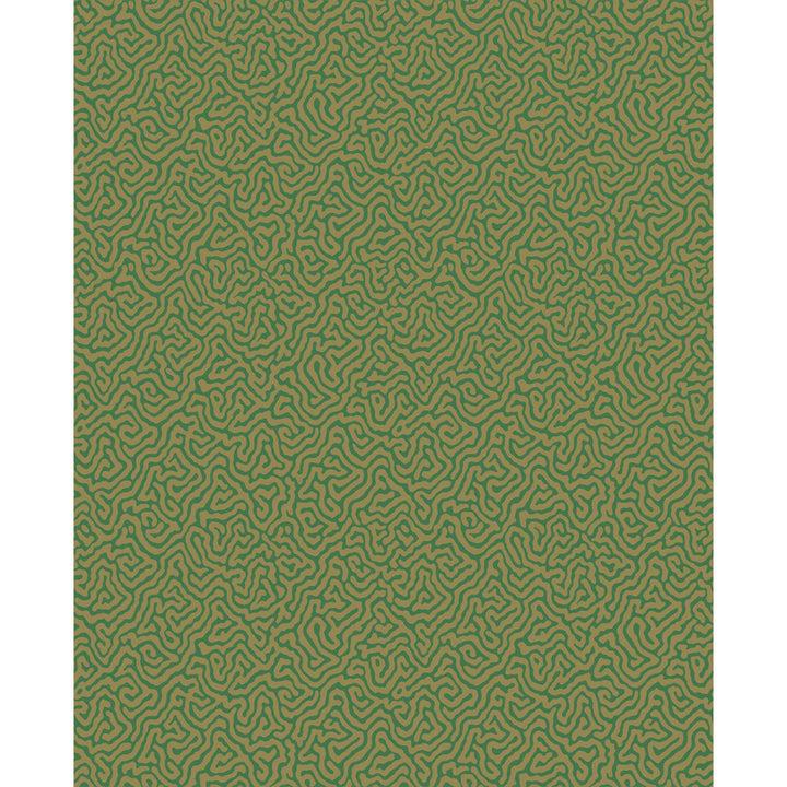 Vermicelli Green & Gold by Cole & Son Wallcovering