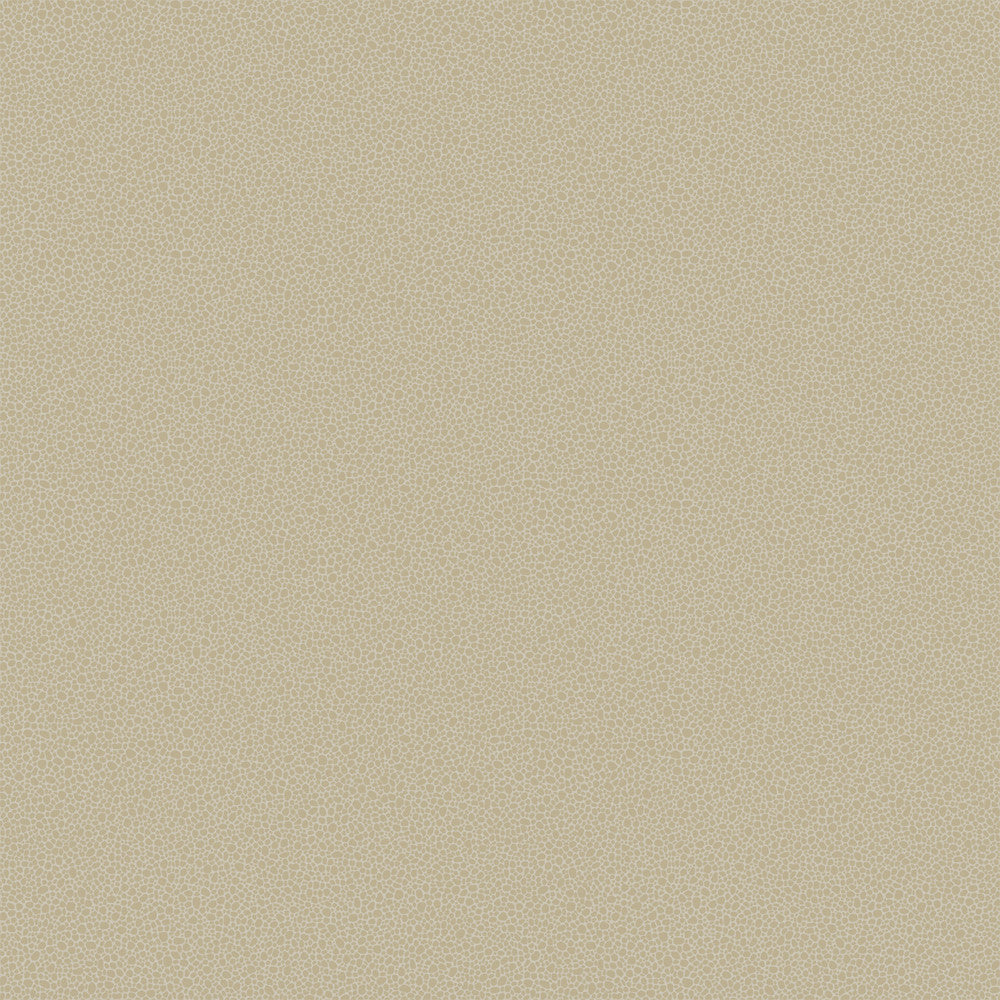 Goldstone Stone & Gilver by Cole & Son Wallcovering