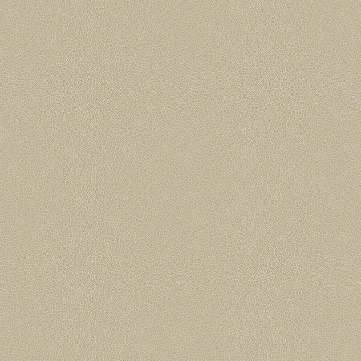 Goldstone Stone & Gilver by Cole & Son Wallcovering