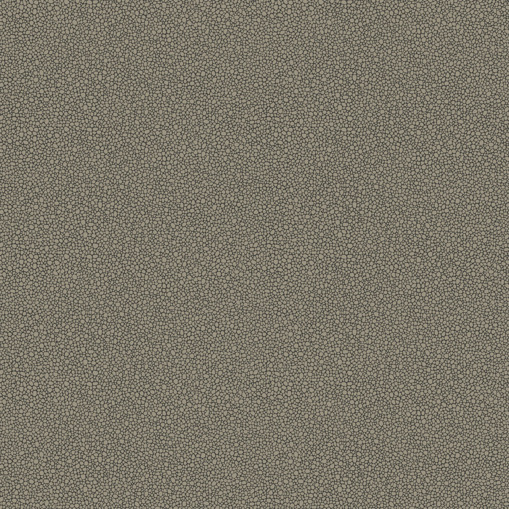 Goldstone Black & Silver by Cole & Son Wallcovering