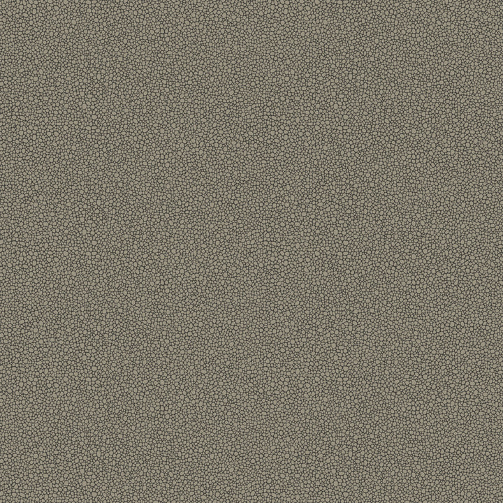 Goldstone Black & Silver by Cole & Son Wallcovering