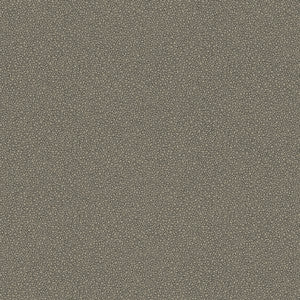Goldstone Black & Silver by Cole & Son Wallcovering