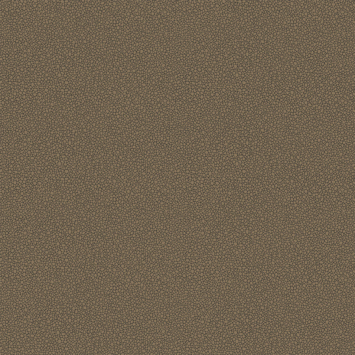 Goldstone Black & Bronze by Cole & Son Wallcovering