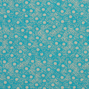 10700-01 by Charlotte Fabric