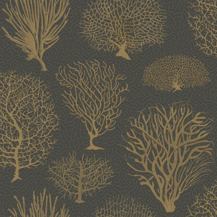 Seafern Black & Gold by Cole & Son Wallcovering COLE & SON CURIO PAPER - 100% United Kingdom Horizontal: and Vertical: 20.5 20.5 - Fabric Carolina -
