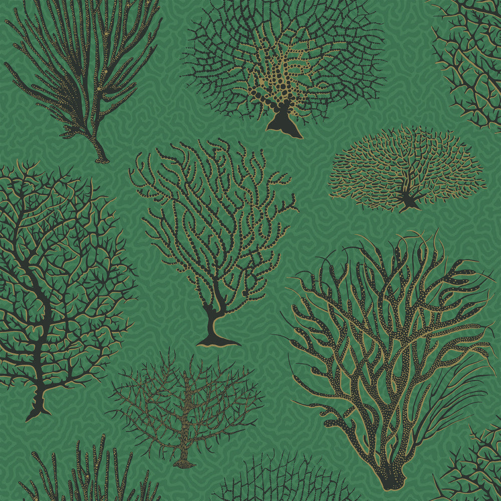 Seafern Emerald by Cole & Son Wallcovering COLE & SON CURIO PAPER - 100% United Kingdom - Horizontal: - and Vertical: 20.5 20.5 - Fabric Carolina -