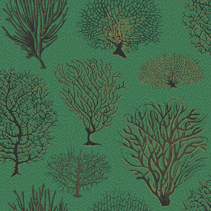 Seafern Emerald by Cole & Son Wallcovering COLE & SON CURIO PAPER - 100% United Kingdom Horizontal: and Vertical: 20.5 20.5 - Fabric Carolina -
