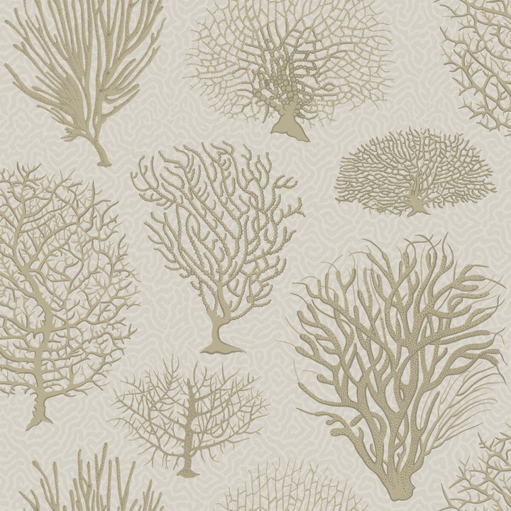 Seafern Stone by Cole & Son Wallcovering COLE & SON CURIO PAPER - 100% United Kingdom Horizontal: and Vertical: 20.5 20.5 - Fabric Carolina -
