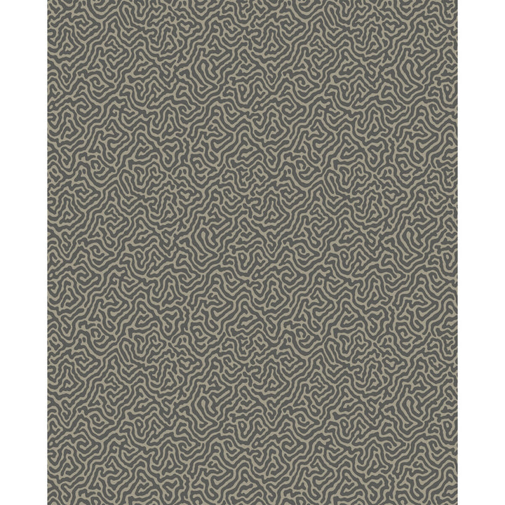 Vermicelli Black & Linen by Cole & Son Wallcovering COLE & SON CURIO PAPER - 100% United Kingdom Horizontal: and Vertical: 8.3 20.5 - Fabric Carolina -