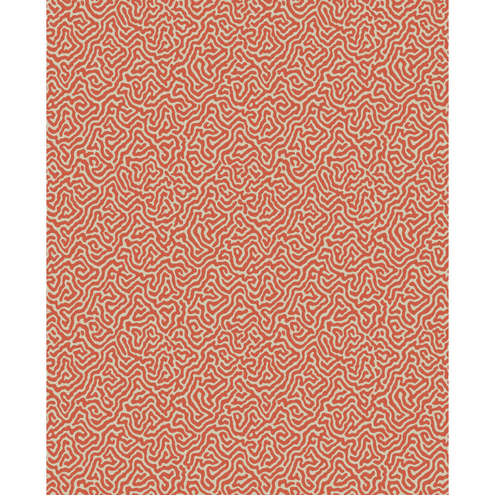 Vermicelli Coral by Cole & Son Wallcovering COLE & SON CURIO PAPER - 100% United Kingdom Horizontal: and Vertical: 8.3 20.5 - Fabric Carolina -