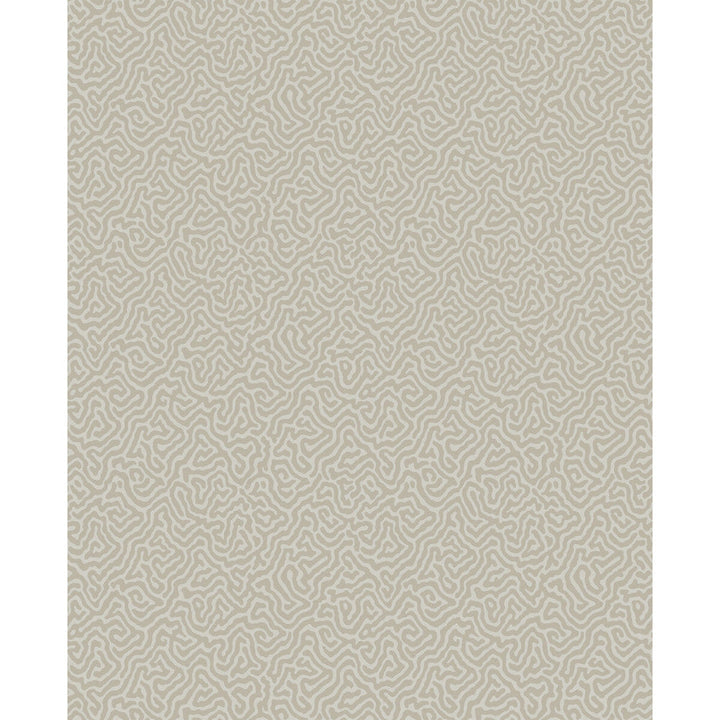 Vermicelli Stone by Cole & Son Wallcovering Cole & Son Wallcovering Vermicelli StoneWallcovering COLE & SON CURIO PAPER - 100% United Kingdom </p><p>Repeat: H: , V: 8.3 20.5 - Fabric Carolina -