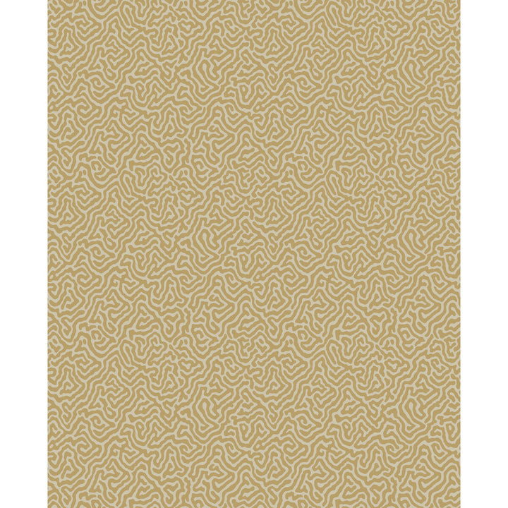Vermicelli Buff & Gold by Cole & Son Wallcovering COLE & SON CURIO PAPER - 100% United Kingdom Horizontal: and Vertical: 8.3 20.5 - Fabric Carolina -