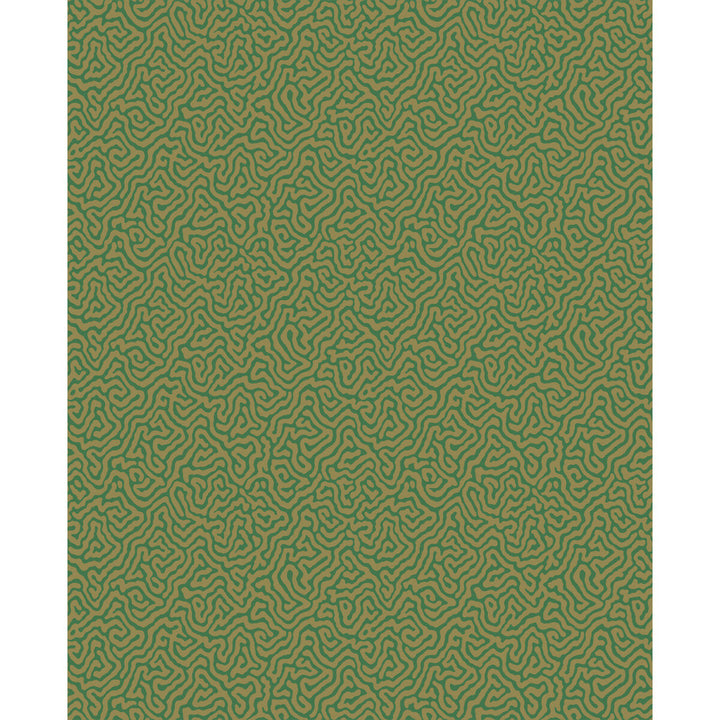 Vermicelli Green & Gold by Cole & Son Wallcovering COLE & SON CURIO PAPER - 100% United Kingdom - Horizontal: - and Vertical: 8.3 20.5 - Fabric Carolina -