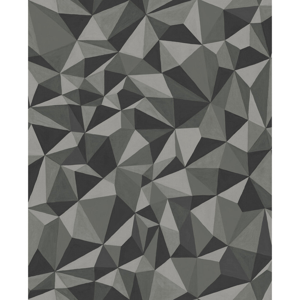 Quartz Graphite by Cole & Son Wallcovering Cole & Son Wallcovering Quartz GraphiteWallcovering COLE & SON CURIO PAPER - 100% United Kingdom </p><p>Repeat: H: , V: 25.2 20.5 - Fabric Carolina -