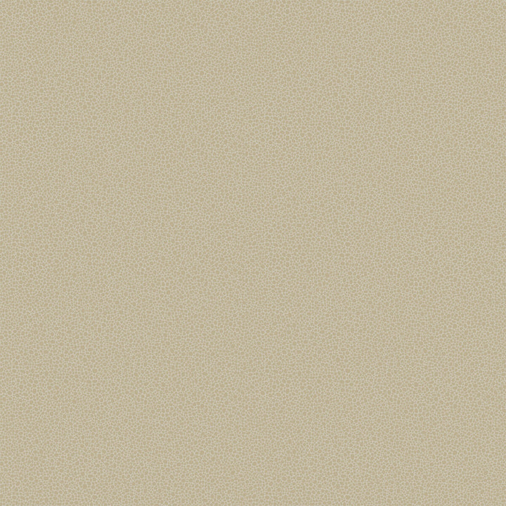 Goldstone Stone & Gilver by Cole & Son Wallcovering COLE & SON CURIO PAPER - 100% United Kingdom Horizontal: and Vertical: 5.1 20.5 - Fabric Carolina -