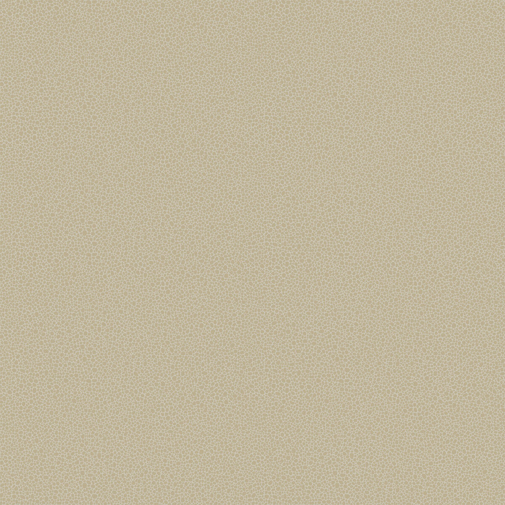 Goldstone Stone & Gilver by Cole & Son Wallcovering COLE & SON CURIO PAPER - 100% United Kingdom - Horizontal: - and Vertical: 5.1 20.5 - Fabric Carolina -