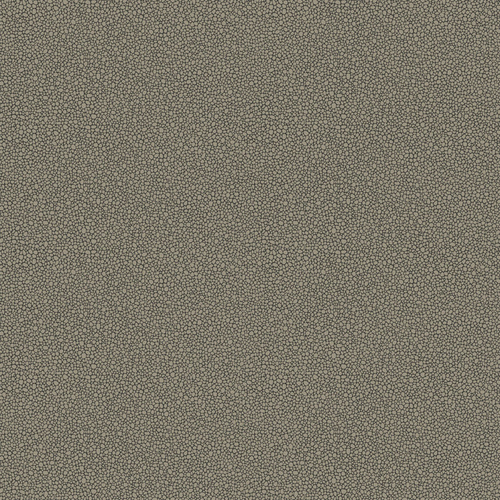 Goldstone Black & Silver by Cole & Son Wallcovering Cole & Son Wallcovering Goldstone Black & SilverWallcovering COLE & SON CURIO PAPER - 100% United Kingdom </p><p>Repeat: H: , V: 5.1 20.5 - Fabric Carolina -