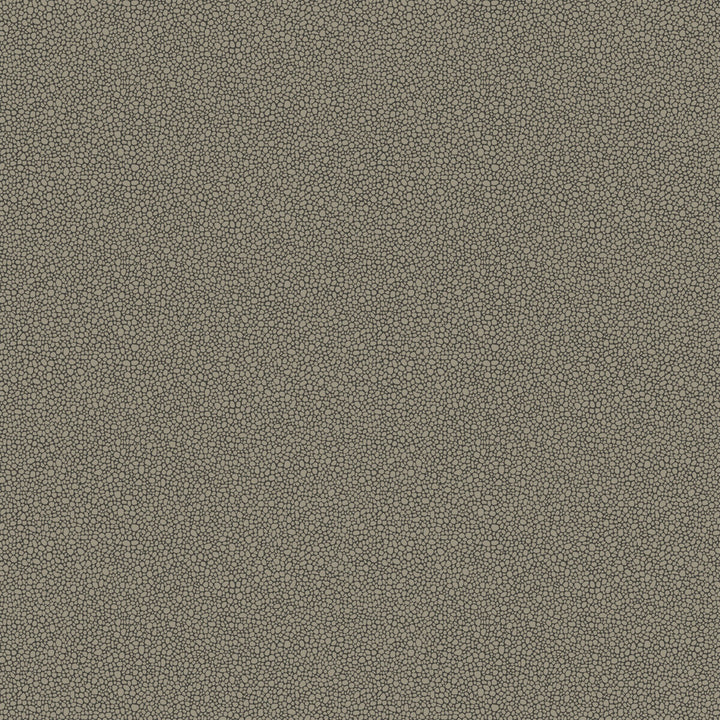 Goldstone Black & Silver by Cole & Son Wallcovering COLE & SON CURIO PAPER - 100% United Kingdom - Horizontal: - and Vertical: 5.1 20.5 - Fabric Carolina -