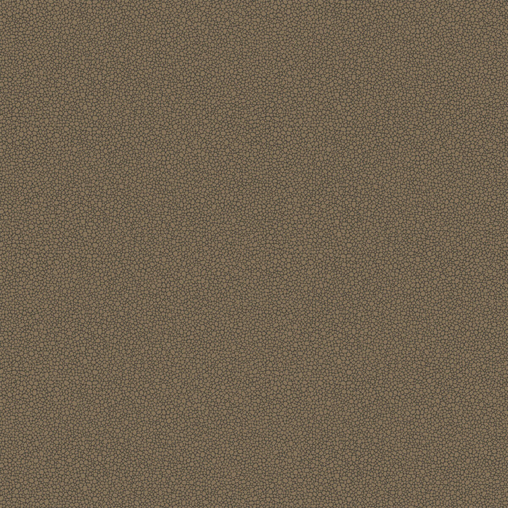 Goldstone Black & Bronze by Cole & Son Wallcovering COLE & SON CURIO PAPER - 100% United Kingdom - Horizontal: - and Vertical: 5.1 20.5 - Fabric Carolina -