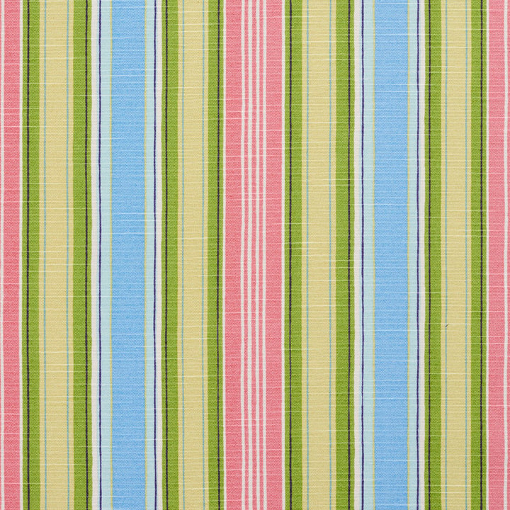 10860-01 by Charlotte Fabric Botanical Prints 60% Cotton, 40% Polyester Spain Exceeds 80,000 Wyzenbeek Rubs (Heavy Duty) Horizontal: 9" 54 Inches - Fabric Carolina -