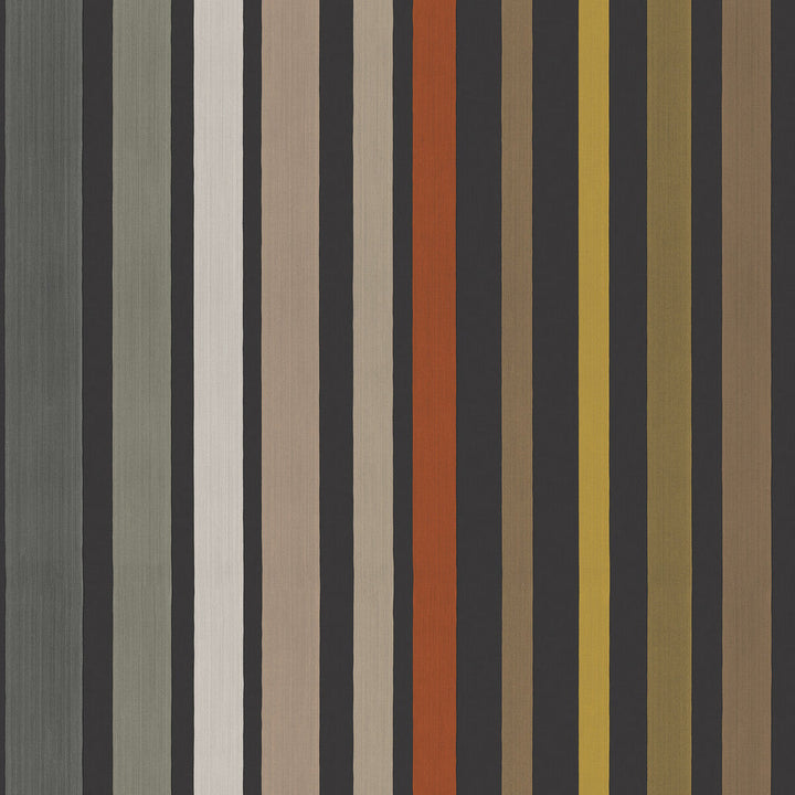 Carousel Stripe Charcoal by Cole & Son Wallcovering Cole & Son Wallcovering Carousel Stripe CharcoalWallcovering COLE & SON MARIINSKY DAMASK PAPER - 100% United Kingdom </p><p>Repeat: H: , V: 0 20.5 - Fabric Carolina -