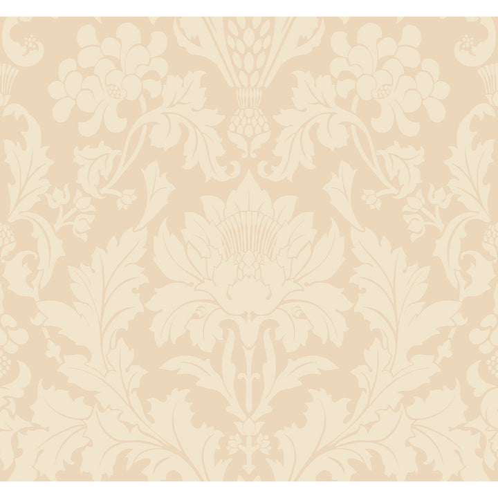 Fonteyn Buff by Cole & Son Wallcovering COLE & SON MARIINSKY DAMASK PAPER - 100% United Kingdom - Horizontal: - and Vertical: 25.25 27 - Fabric Carolina -