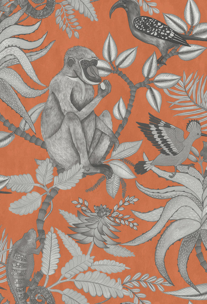 Savuti Orange by Cole & Son Wallcovering
