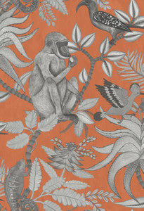 Savuti Orange by Cole & Son Wallcovering