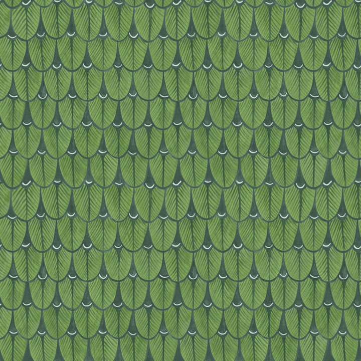 Narina Leaf Green by Cole & Son Wallcovering
