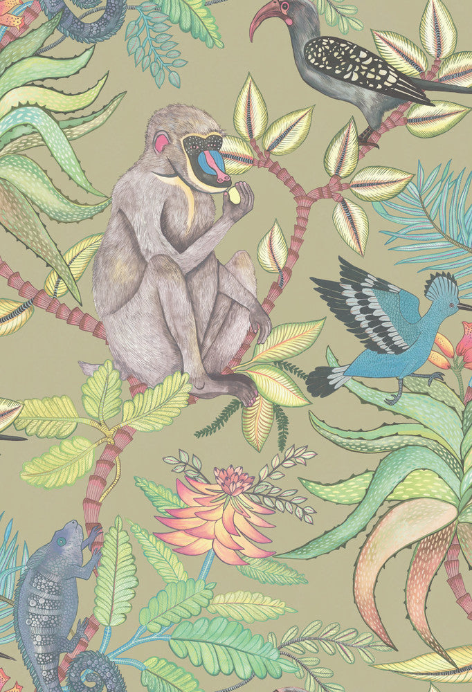 Savuti Khaki Multi by Cole & Son Wallcovering