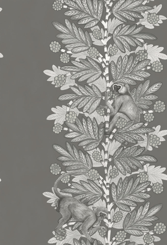 Acacia Charcoal & Silver by Cole & Son Wallcovering
