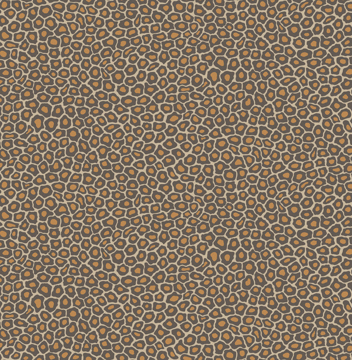 Senzo Spot Brown & Gold by Cole & Son Wallcovering
