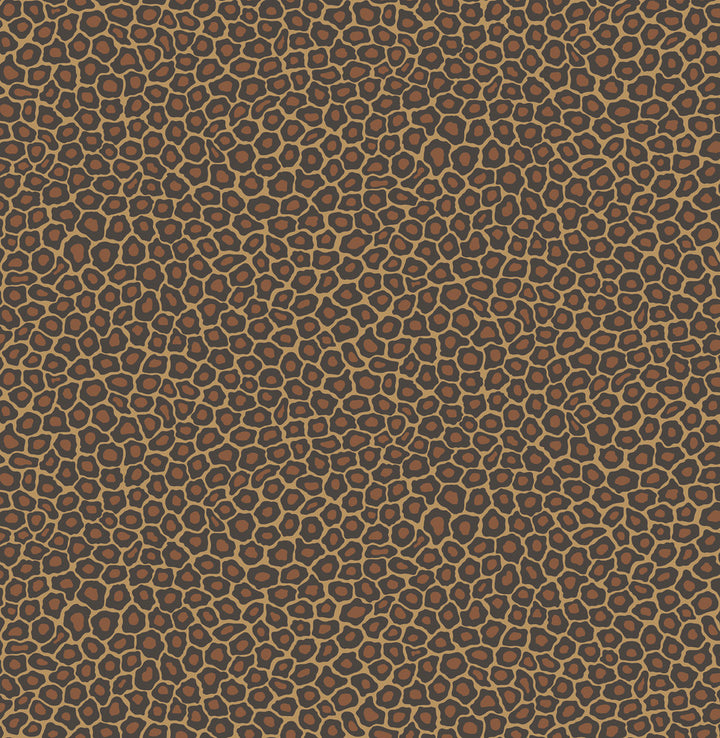Senzo Spot True Leopard by Cole & Son Wallcovering