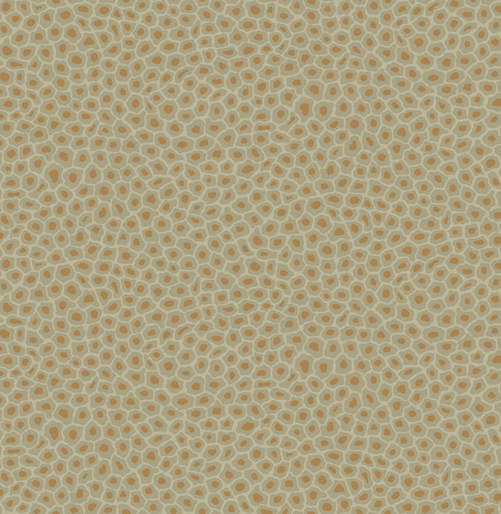 Senzo Spot Olive by Cole & Son Wallcovering