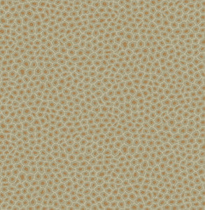 Senzo Spot Olive by Cole & Son Wallcovering