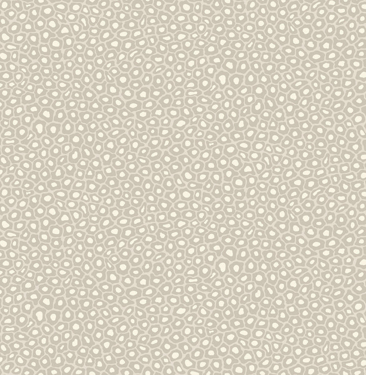 Senzo Spot Stone & White by Cole & Son Wallcovering