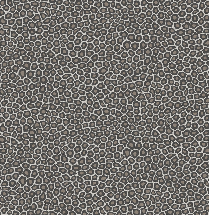 Senzo Spot Black & White by Cole & Son Wallcovering