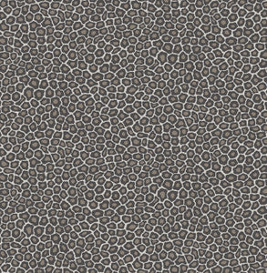 Senzo Spot Black & White by Cole & Son Wallcovering